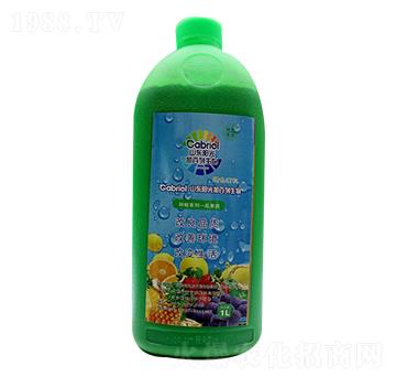 �Ϲ����-ꖹ�Ӱ���