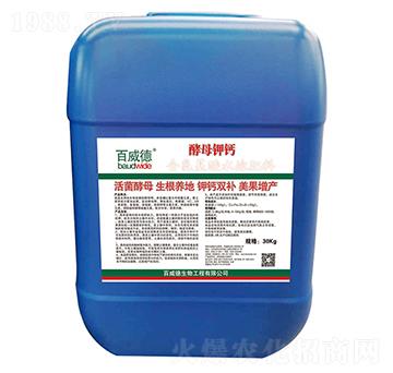 ��ĸ��}-������