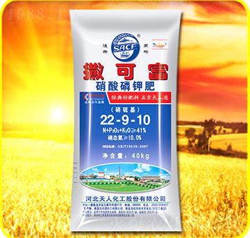 ������⛷�22-9-1