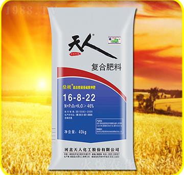 �ͺϷ���16-8-22