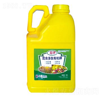 ���x(ch��ng)�����ЙC(j��)�-��������