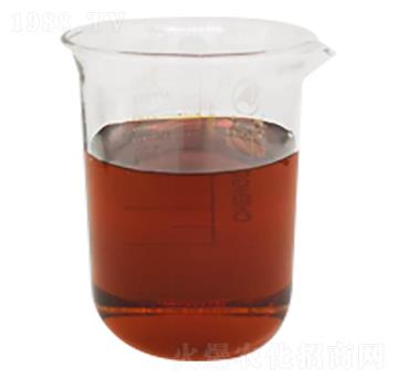 ø�ⰱ���������}-�����Ƽ�