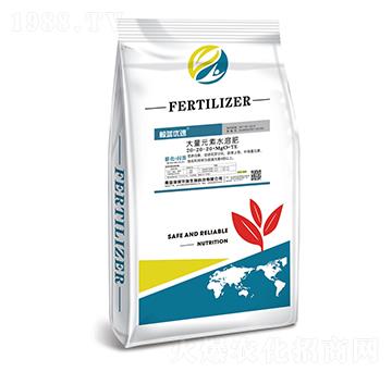 ����Ԫ��ˮ�ܷ�20-20-20+MgO+TE-�����A��