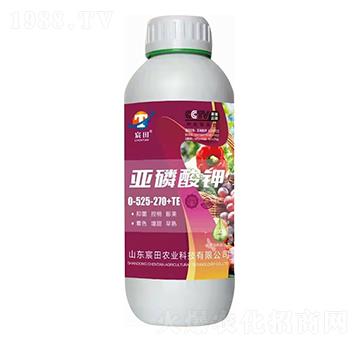 �������0-525-270+TE-����r�I(y��)