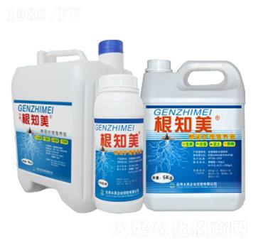 ��֪��-̫��