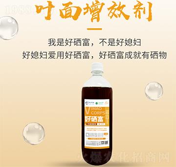 �~����Ч��-������-���S����