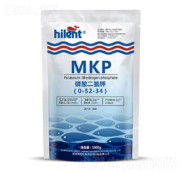 ��������0-52-34-���{(l��n)��