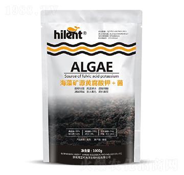 ����VԴ�S����⛣���-���{��