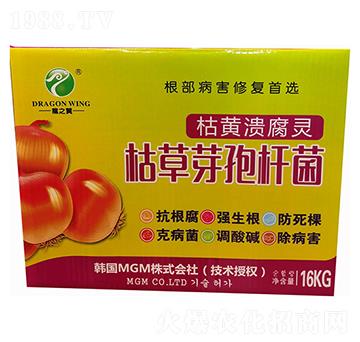 ���S�����`-ҫ���Ƽ�