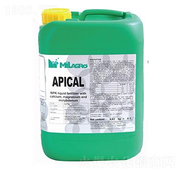 �����{(di��o)Ƥ�}-���h