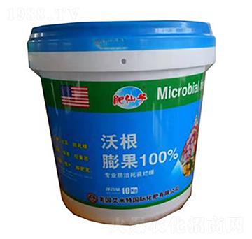 �ָ�-�ֲ���