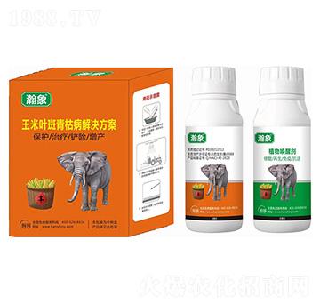 �����~����ݲ���Q����-���-嫪{