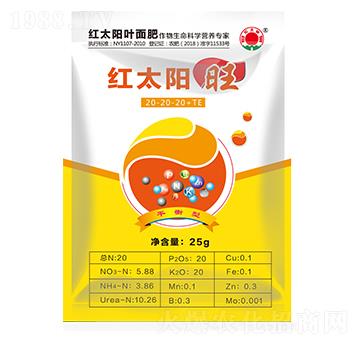 �~��ʣ�����-�t̫�-