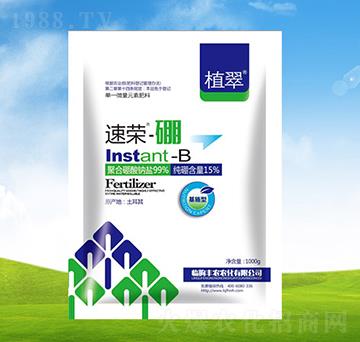 �������w����-ֲ��-