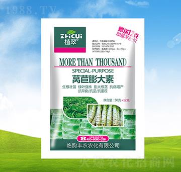 �n�������-ֲ��-�S�r(n��ng)