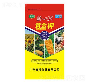 ��һ���S���-�������