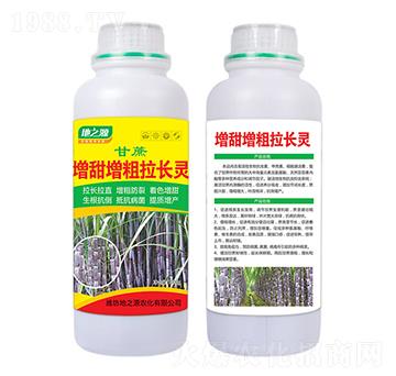 ���������������L(zh��ng)��-�����r(n��ng)�I(y��)