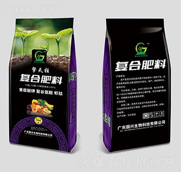 �r�ďͺϷ���17-17-17-������-���d����