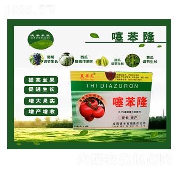 �籽¡-����`-���S