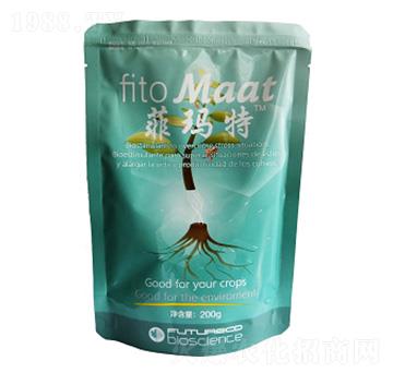 �Ƭ���-������