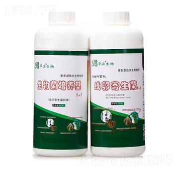 ��������B(y��ng)��+���Ѽ���