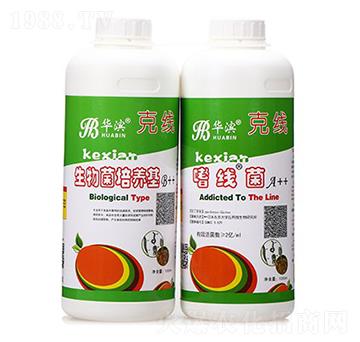 ��������B(y��ng)��+�Ⱦ���-