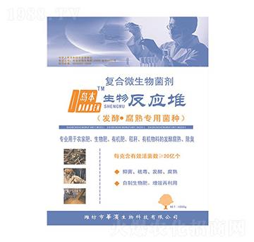 �u�����ﷴ����-�A�I����