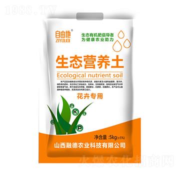 ���܌������B(t��i)�I(y��ng)�B(y��ng)��-���ɵ�-�ڵ��r(n��ng)�I(y��)