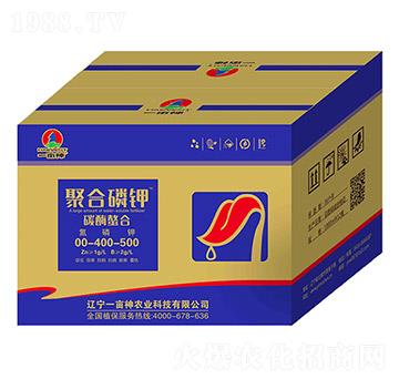 �ۺ����00-400-