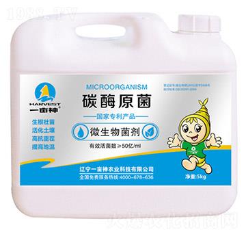 ΢�������-̼øԭ��-