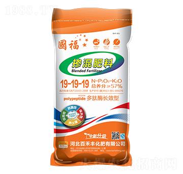 �������19-19-19-�ٺ��S