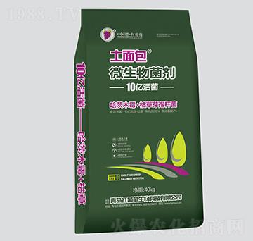 ���������΢�������-�t����