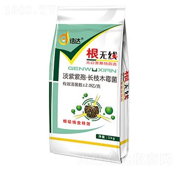 �������ߡ��L(zh��ng)��ľù��-