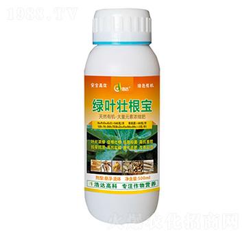 ˎ�ľG�~�Ѹ���-���_(d��)��