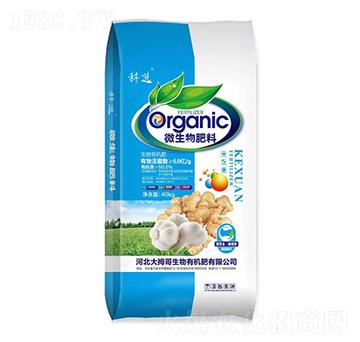 40kg΢�������-��Ĵ��