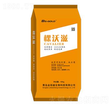 �ݲݡ�����ѿ�ߗU��-������-���ʢ����