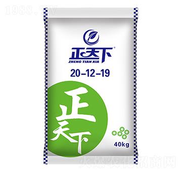 ��(f��)�Ϸ���20-12-19-������-�Ŷ���