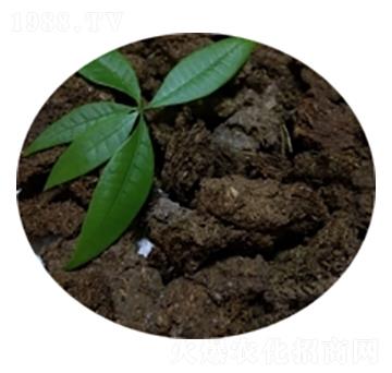 ����ţ�S-�T������