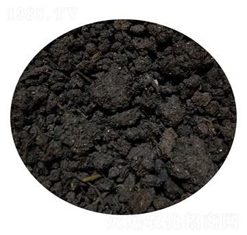 ���ţ�S-�T������