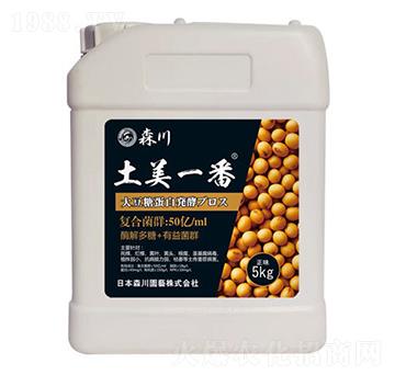 ����һ�������;���-ɭ��-����