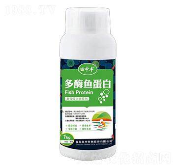 ��ø�~���׏ͺ�΢�������-��������