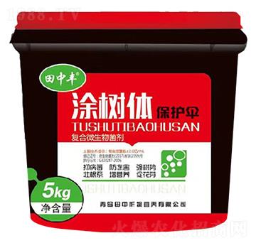 ��(f��)��΢�������-Ϳ���w���o��-��������