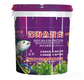 ��~����-��������