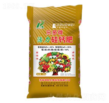 ����΢�������-�������