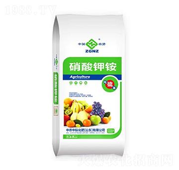 ������@-�{���r�I(y��)