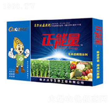 �߲ˌ������L�������ф�