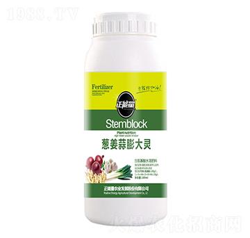 �[��������`-������