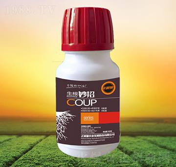 ��������-������