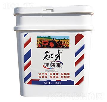 ��}��-֪��-������