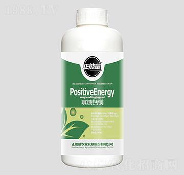 1300g�����}�V-��